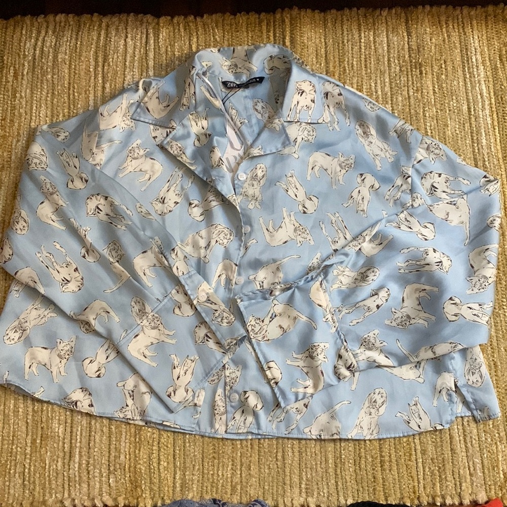 Zara Dog’s Liver Button Down Blouse